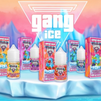 Жидкость Gang Ice Salt - Арбуз дыня 30 мл (20 мг)