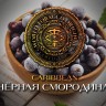 Табак WTO - Caribbean Blend (Чёрная смородина) 20 гр