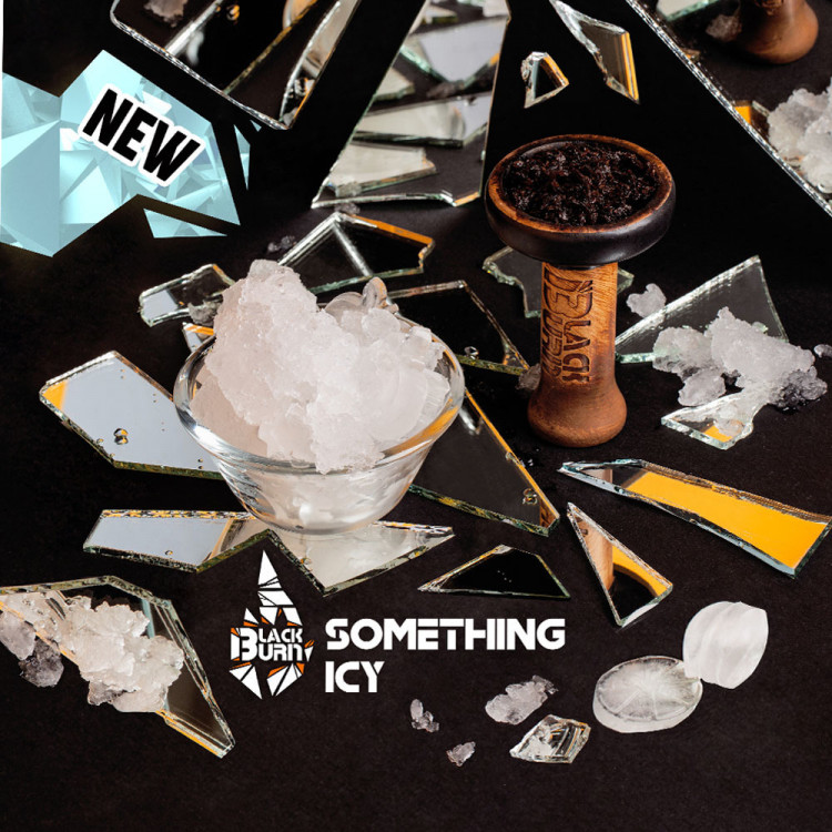 Табак Black Burn - Something Icy (Холод) 25 гр