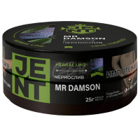 Табак Jent - Mr Damson (чернослив) 25 гр