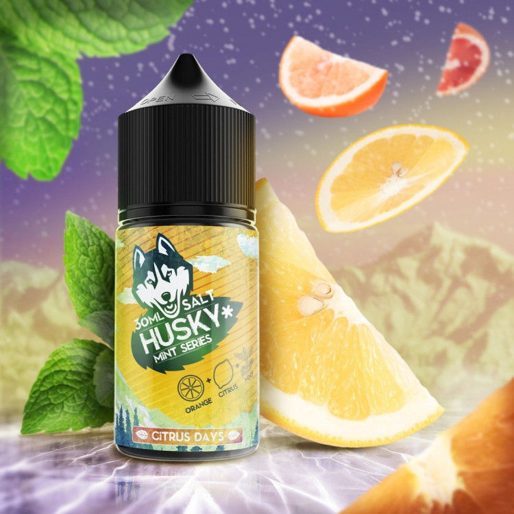 Жидкость Husky Mint Series Salt - Citrus Days (Цитрусовый лед) 30мл (20 мг)